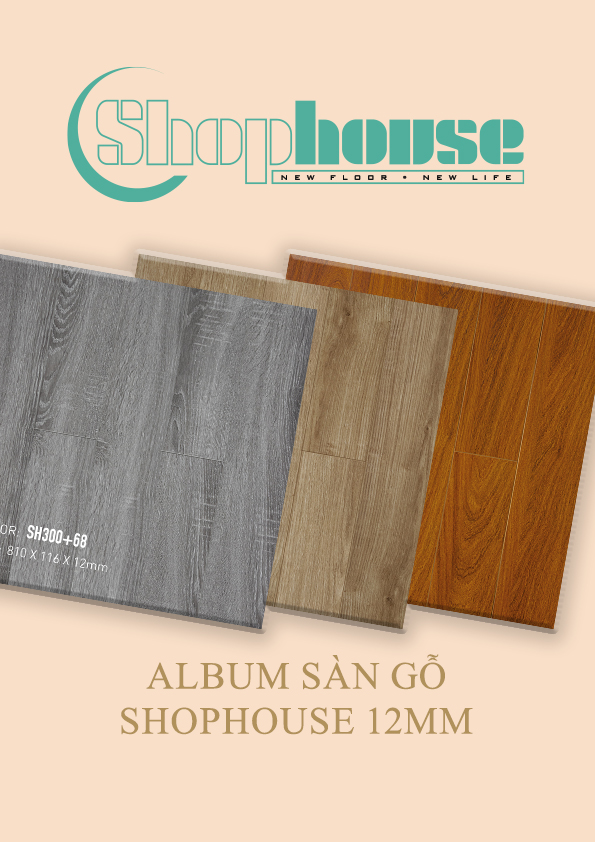 Ảnh Mẫu Shophouse 12mm