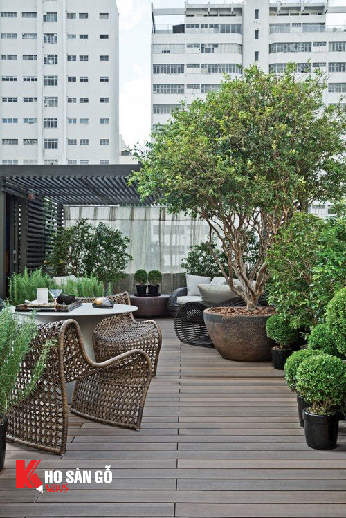 Không gian sân thượng xanh mát với giàn hoa leo