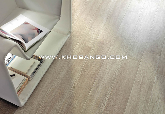Tone màu ấn tượng, hiện đại