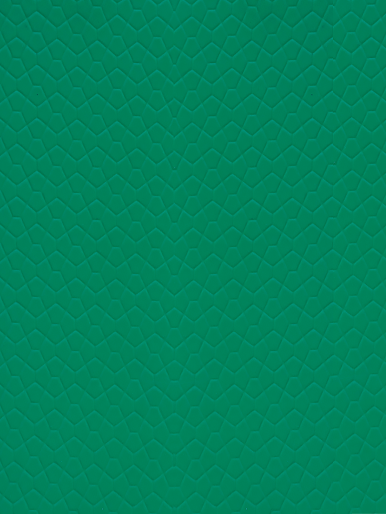 Sàn Nhựa Vinyl Thể Thao Y27170