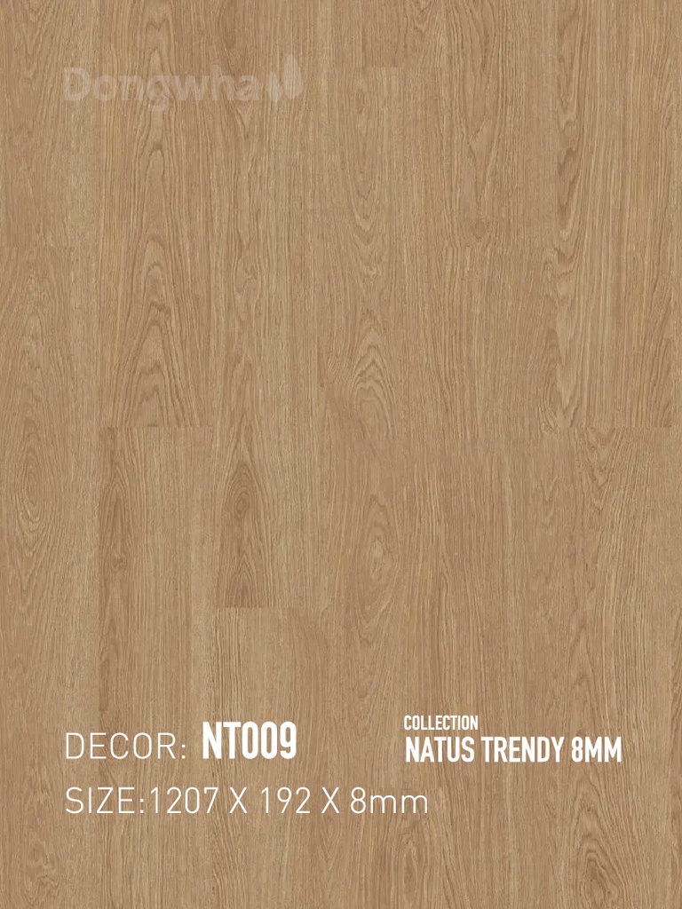 Sàn gỗ Dongwha NT009