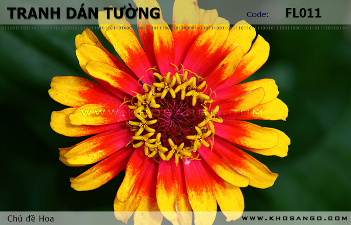 Tranh dán tường Hoa FL011