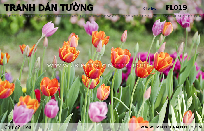 Tranh dán tường Hoa FL019