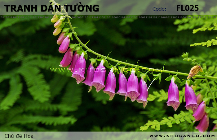 Tranh dán tường Hoa FL025