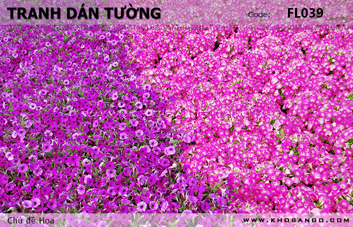 Tranh dán tường Hoa FL039