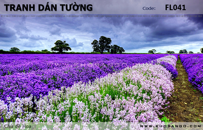 Tranh dán tường Hoa FL041