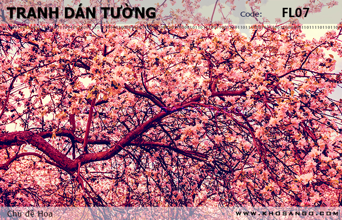 Tranh dán tường Hoa FL07