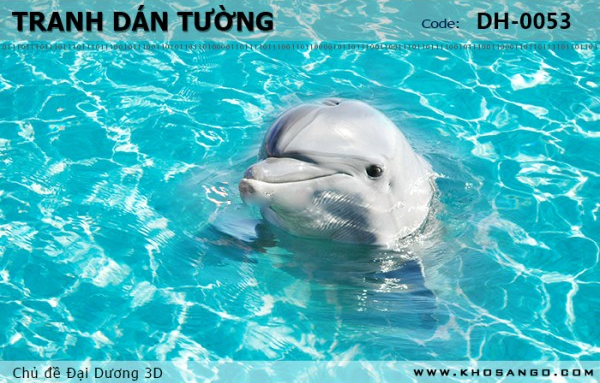 Tranh dán tường Đại Dương 3D DH-0053