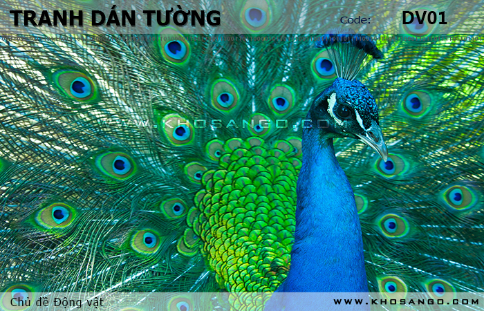 Tranh dán tường Động vật DV01