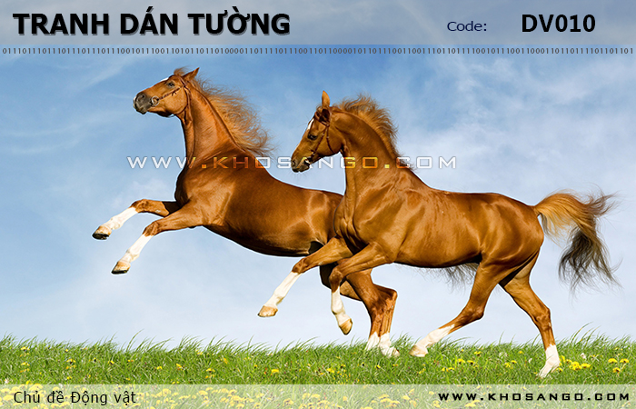 Tranh dán tường Động vật DV010