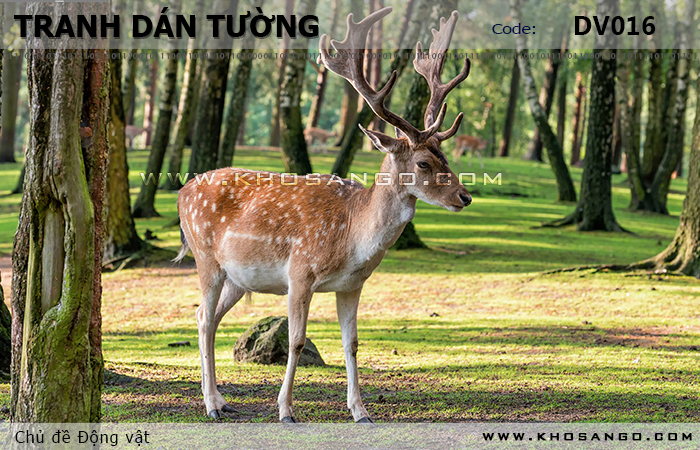 Tranh dán tường Động vật DV016
