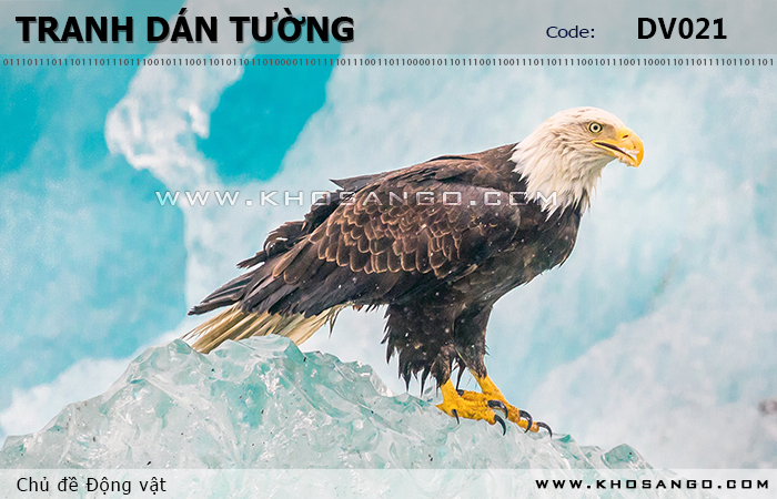 Tranh dán tường Động vật DV021