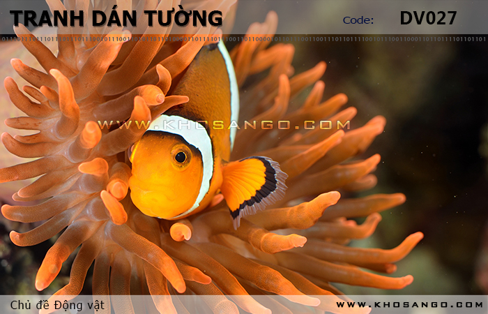 Tranh dán tường Động vật DV027