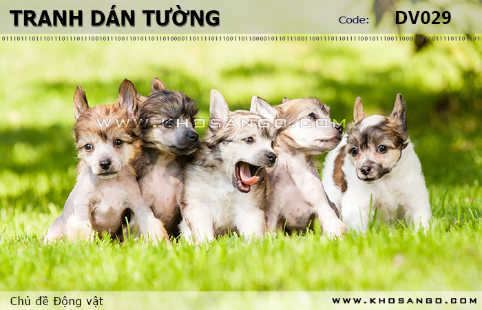 Tranh dán tường Động vật DV029