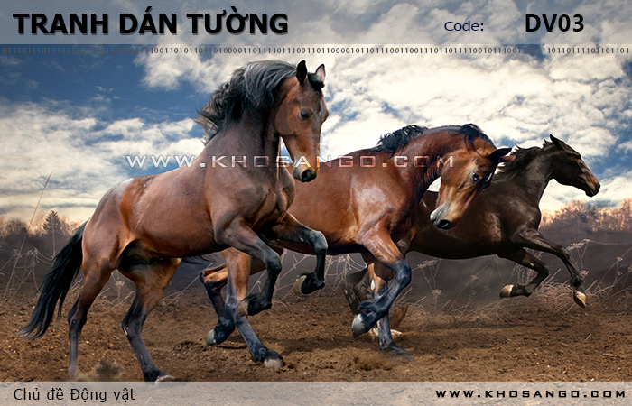 Tranh dán tường Động vật DV03