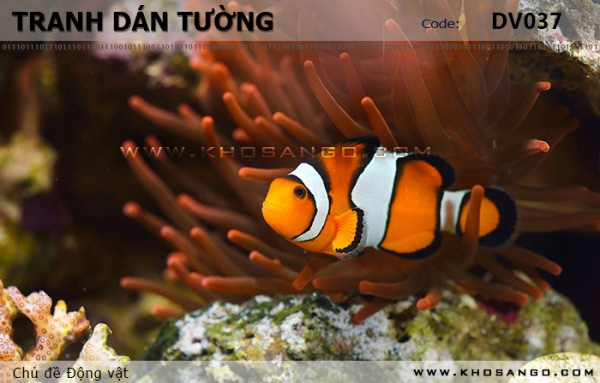 Tranh dán tường Động vật DV037
