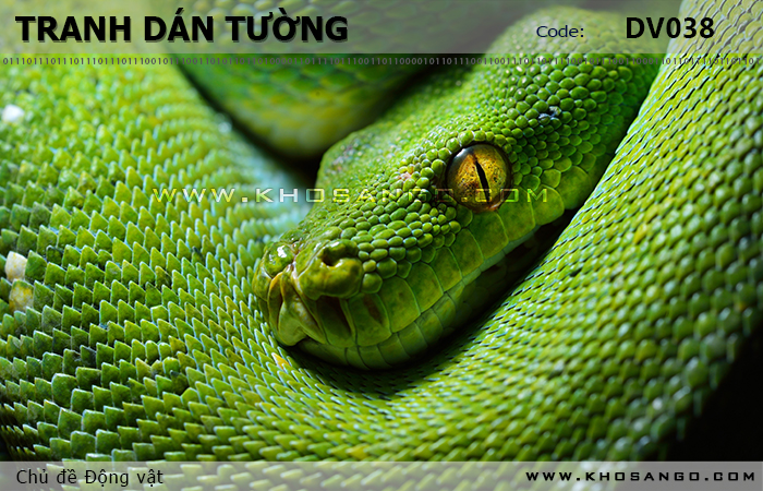 Tranh dán tường Động vật DV038