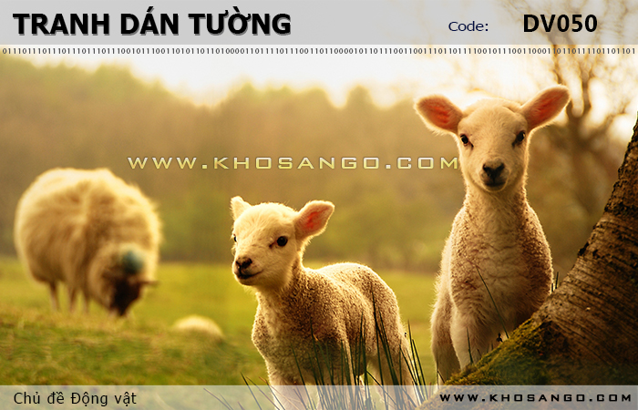 Tranh dán tường Động vật DV050
