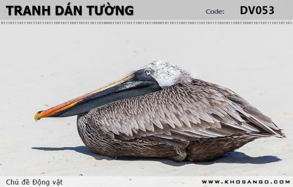 Tranh dán tường Động vật DV053