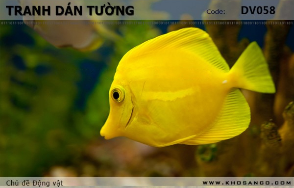 Tranh dán tường Động vật DV058