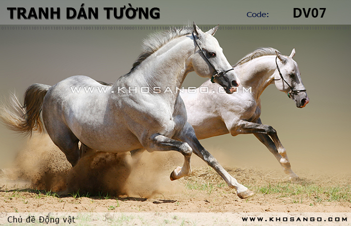 Tranh dán tường Động vật DV07