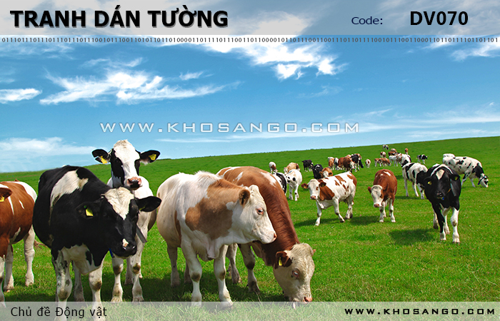 Tranh dán tường Động vật DV070
