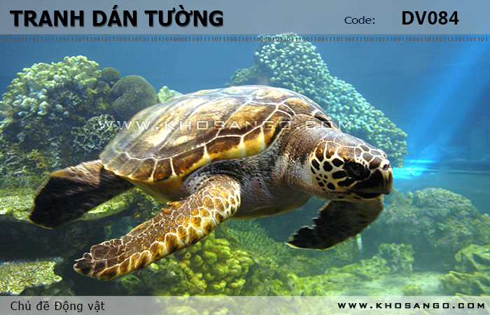Tranh dán tường Động vật DV084