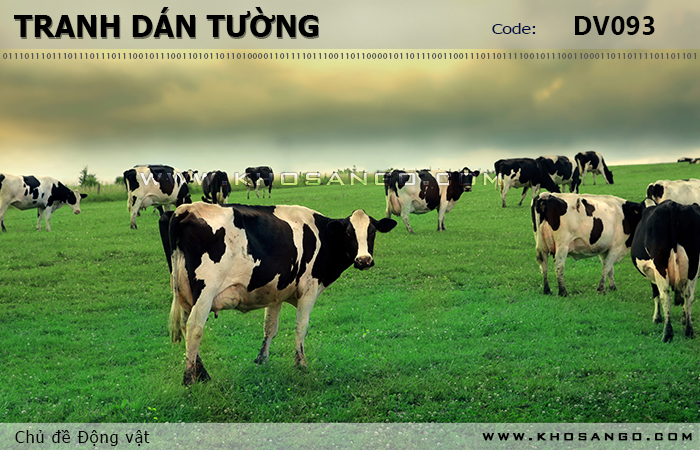 Tranh dán tường Động vật DV093