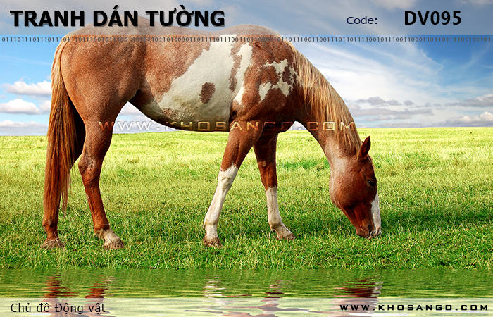 Tranh dán tường Động vật DV095
