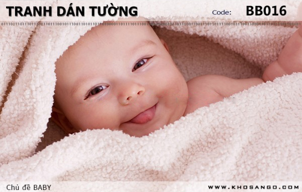 Tranh dán tường BABY BB016