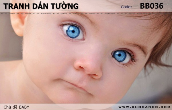 Tranh dán tường BABY BB036