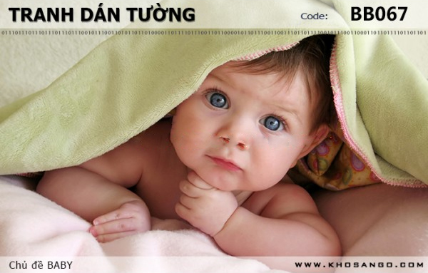 Tranh dán tường BABY BB067