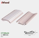 iWood CT100x24-1