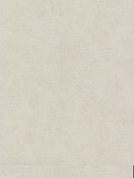 Giấy Dán Tường DIO 14162