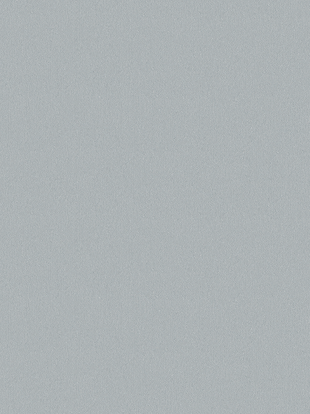 Giấy dán tường Xavia 3926-2