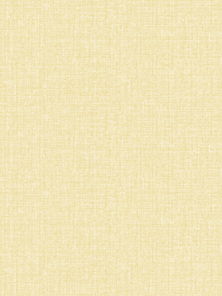 Giấy dán tường Regina 88256-3