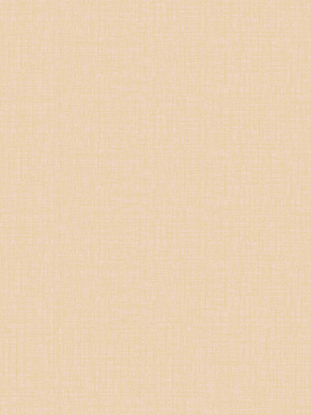 Giấy dán tường Regina 88256-4