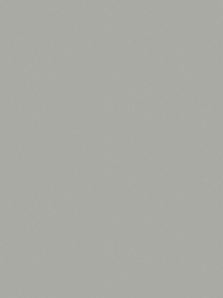 Giấy dán tường FIORE 57200-5
