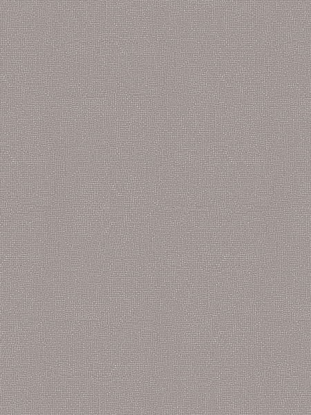 Giấy Dán Tường NEW LUCK II 6005-4