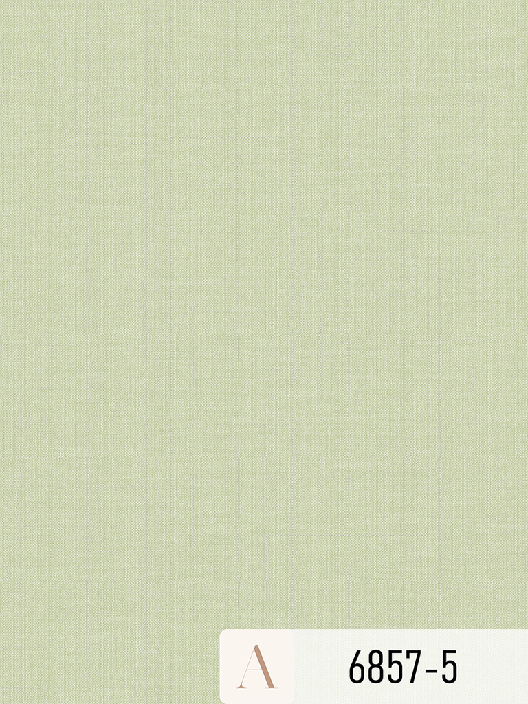 Giấy dán tường Albany 6857-5
