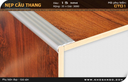 Nẹp nhôm cầu thang CT01
