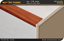 Nẹp nhôm cầu thang CT03