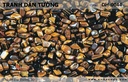 Tranh dán tường Đại Dương 3D DH-0044