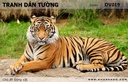 Tranh dán tường Động vật DV019