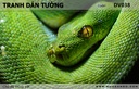 Tranh dán tường Động vật DV038