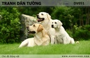 Tranh dán tường Động vật DV051