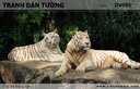 Tranh dán tường Động vật DV086