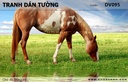 Tranh dán tường Động vật DV095
