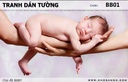 Tranh dán tường BABY BB01