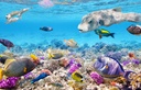 Tranh dán tường phong cảnh biển SEA521